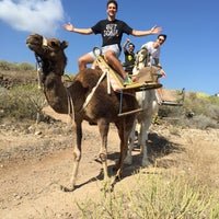 6/10/2015에 Marcello M.님이 Camel Park에서 찍은 사진
