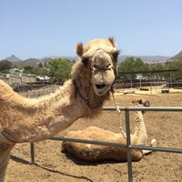 Photo taken at Camel Park by Marcello M. on 6/10/2015