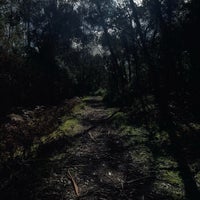 Photo taken at Cardinia Reservoir Park by 𝔇 on 8/1/2021