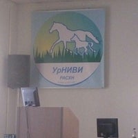 Photo taken at Уральский НИВИ by Надежда Д. on 1/30/2014