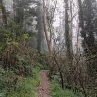 Photo taken at Mount Sutro Open Space Reserve by Misha Z. on 9/24/2021
