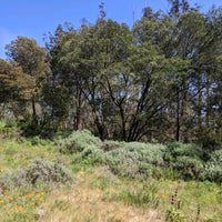 Photo taken at Mount Sutro Open Space Reserve by Misha Z. on 4/9/2021