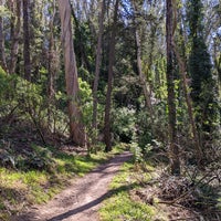 Photo taken at Mount Sutro Open Space Reserve by Misha Z. on 3/8/2022