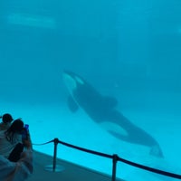 Photo taken at Port of Nagoya Public Aquarium by コホナ on 3/17/2024