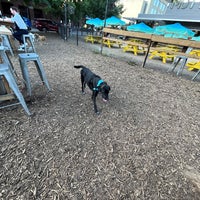 Photo taken at Mutts Canine Cantina by Mark C. on 8/1/2022