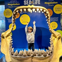 Foto scattata a İstanbul Sea Life Akvaryum da Viktor T. il 10/31/2022