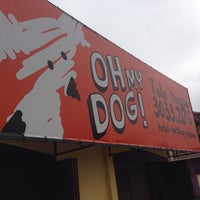 oh my dog pet shop