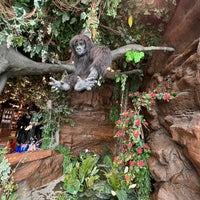 Photo taken at Rainforest Cafe by Marco C. on 12/26/2021