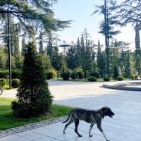 Photo taken at Kikvidze Park | კიკვიძის ბაღი by Katherine S. on 9/13/2022