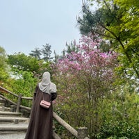 Photo taken at Arashiyama Bamboo Grove by نُورة الكفو جدًا 🦿 on 4/18/2024