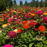8/9/2021 tarihinde Katie A.ziyaretçi tarafından The Oregon Garden'de çekilen fotoğraf