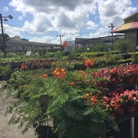 Houston Garden Centers Memorial 5 Tips From 154 Visitors