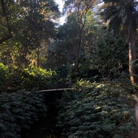Photo taken at Jardín Botánico La Concepción by Talyok G. on 1/21/2023