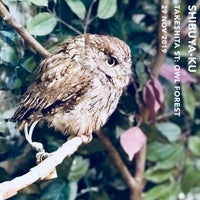 Photo taken at Owl Village by Aaron W. on 11/29/2019