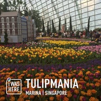Photo taken at Tulipmania by Aaron W. on 5/3/2014