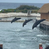 Das Foto wurde bei Sea Life Park von Tour C. am 3/11/2024 aufgenommen