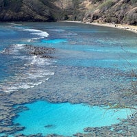 Photo taken at Hanauma Bay Nature Preserve by Tour C. on 3/16/2024