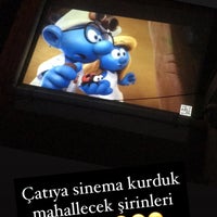 Yuvadiz Bambi Yatak Ve Baza Grubu Yuvadiz Magazalarinda Facebook