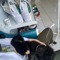 Photo taken at Cidago Veteriner Kliniği by Seda Ö. on 8/27/2018