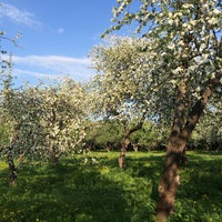 Photo taken at Kolomenskoje by Evgeniya S. on 5/21/2015