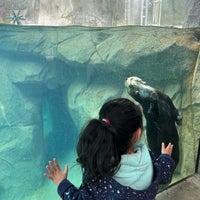 Foto tomada en Vancouver Aquarium  por Dilara 🐰 el 3/21/2024