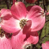 Photo taken at Valley Stream State Park by Karen R. on 5/6/2013