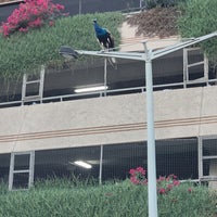 Review Emirates Towers (أبراج الإمارات)