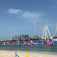 3/28/2024にSAAがThe Beachで撮った写真