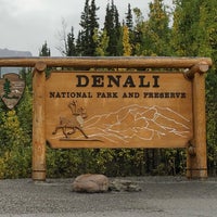 Hap Denali National Park Summer