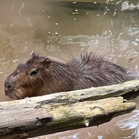 Photo taken at Biodôme de Montréal by Soni M. on 8/10/2023