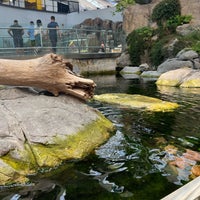 Photo taken at Biodôme de Montréal by Soni M. on 8/10/2023