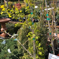 Photo taken at West Seattle Nursery &amp;amp; Garden Center by Miss N. on 4/22/2019