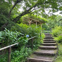 Photo taken at Tonogayato Gardens by シロン on 6/19/2023