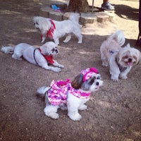 Photo taken at Culver City Dog park by Mackie on 2/15/2014