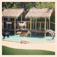 Photo taken at Paradise Ranch Pet Resort by Mackie on 4/8/2014