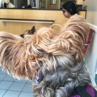 Photo taken at Queen Village Animal Hospital by Richard L. on 9/17/2016