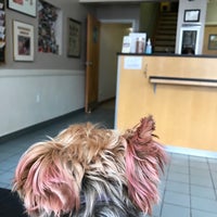 Photo taken at Queen Village Animal Hospital by Richard L. on 2/11/2017