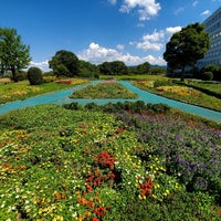 久留米百年公園 4 Tavsiye