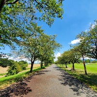 久留米百年公園 4 Tavsiye