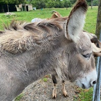 1/2/2020 tarihinde Valeria L.ziyaretçi tarafından Rotorua'de çekilen fotoğraf