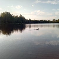 Photo taken at Финское озеро by Shtuzzer D. on 6/4/2019