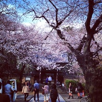 法明寺参道 豊島区 東京都 法明寺参道 豊島区 東京都