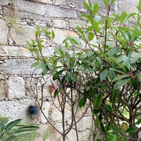 รูปภาพถ่ายที่ Fabrica Coffee Roasters โดย Hussam S. เมื่อ 8/7/2019