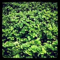 The Green Barn Berry Farm 1 Tip From 22 Visitors