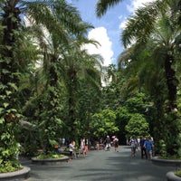Photo taken at Singapore Botanic Gardens by S F. on 5/2/2016