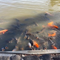 Photo taken at Ikushima Tarushima Shrine by とーでん on 2/24/2024