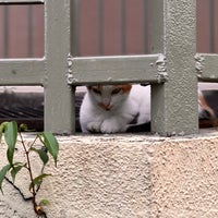 Bgc Greenway Park Fort Bonifacio Rizal
