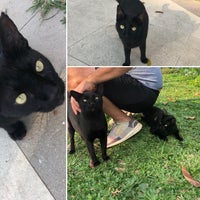 Bgc Greenway Park Fort Bonifacio Rizal