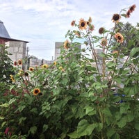 Photo taken at Sunflower Paradise by Теплый Д. on 8/30/2013