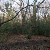Photo taken at Dulwich Wood by Charlie A. on 1/28/2017